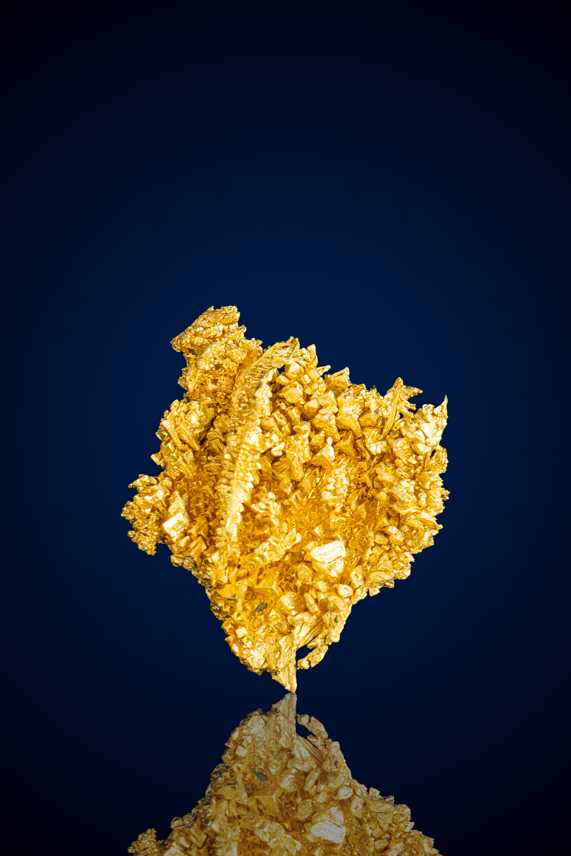Dramatic, Intergrown Crystallized Gold Nugget - Round Mountain, NV - 1.46 grams (image for) Dramatic, Intergrown Crystallized Gold Nugget - Round Mountain, NV - 1.46 grams